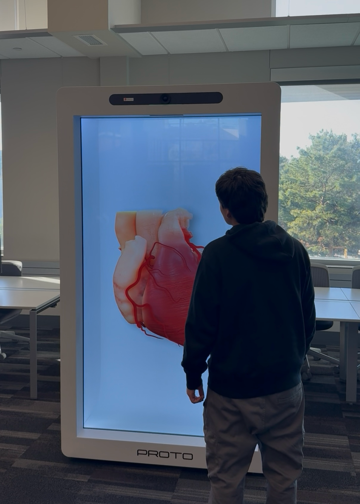 A student stands in front of the Proto spatial display viewing a large anatomical human heart visualization.